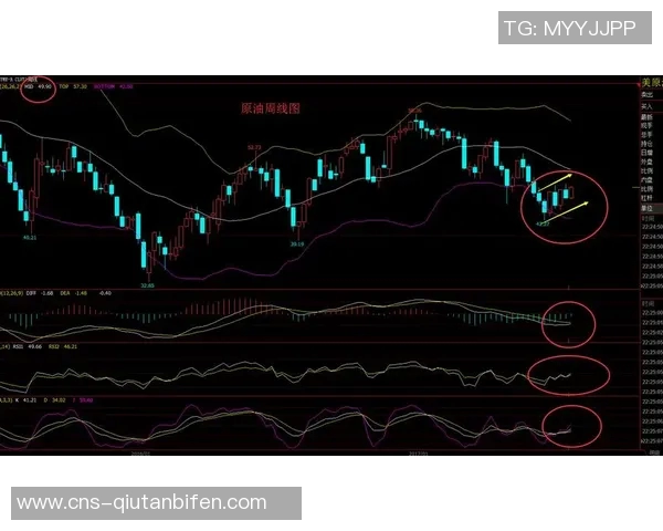 胜利与100线评测深度对比解析助您选择最佳游戏体验